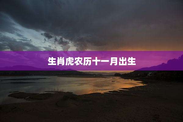 生肖虎农历十一月出生