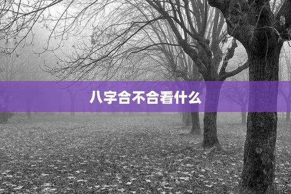 八字合不合看什么