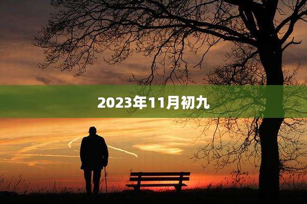 2023年11月初九