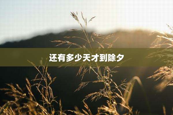 还有多少天才到除夕