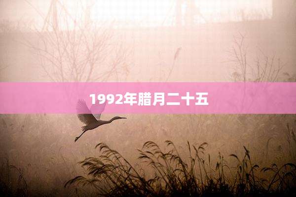 1992年腊月二十五
