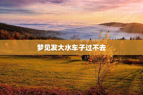 梦见发大水车子过不去