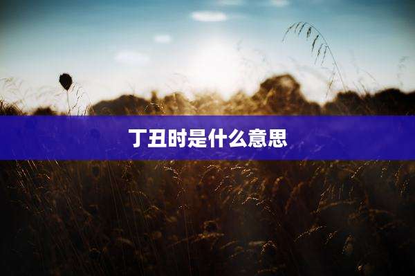 丁丑时是什么意思
