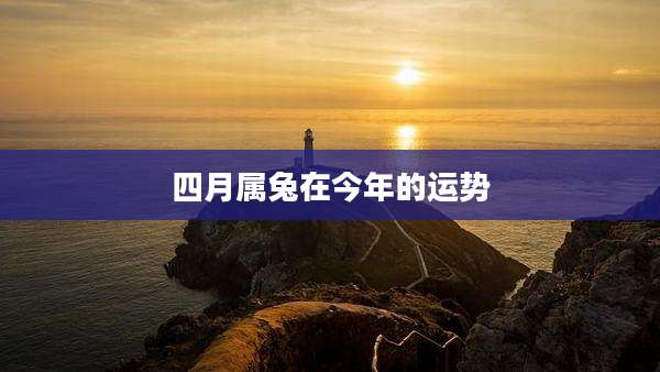 四月属兔在今年的运势