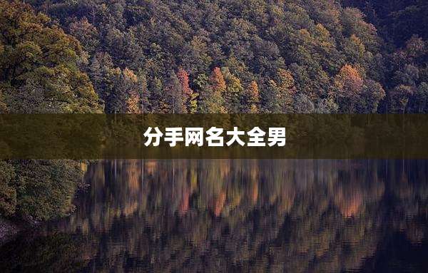 分手网名大全男