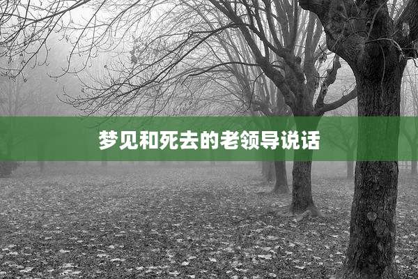 梦见和死去的老领导说话