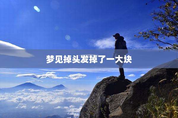 梦见掉头发掉了一大块