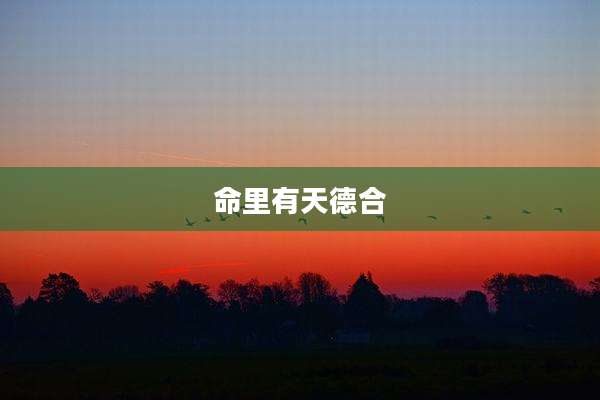 命里有天德合