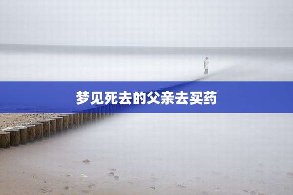 梦见死去的父亲去买药