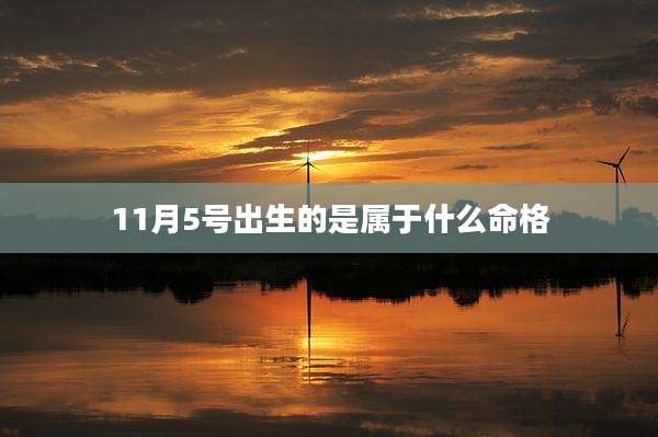 11月5号出生的是属于什么命格