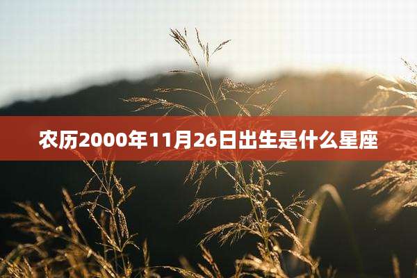 农历2000年11月26日出生是什么星座