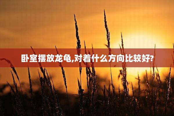 卧室摆放龙龟,对着什么方向比较好?