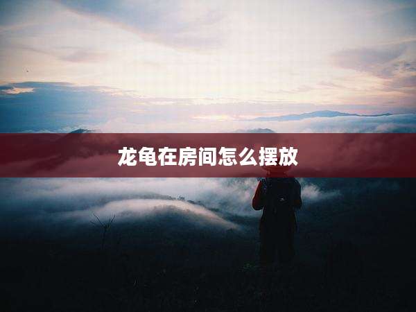 龙龟在房间怎么摆放