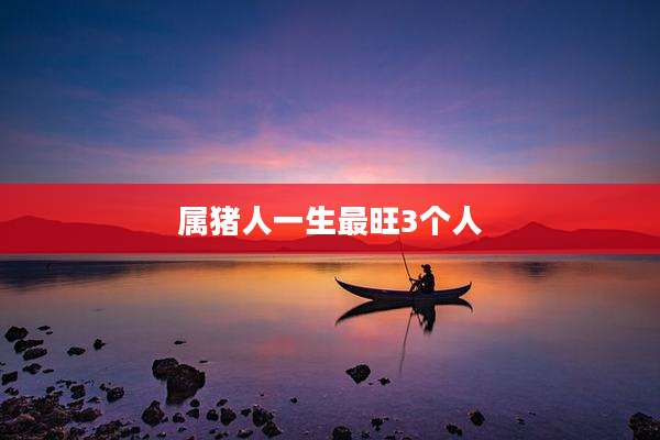 属猪人一生最旺3个人