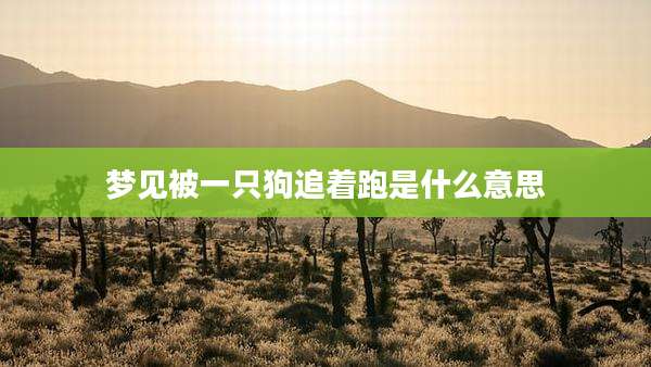 梦见被一只狗追着跑是什么意思