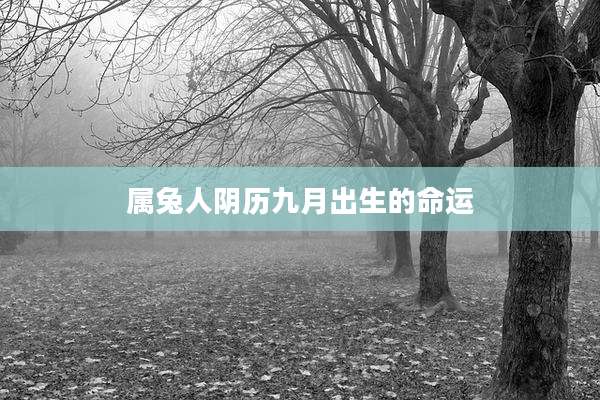 属兔人阴历九月出生的命运