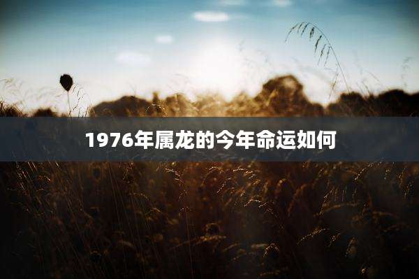 1976年属龙的今年命运如何