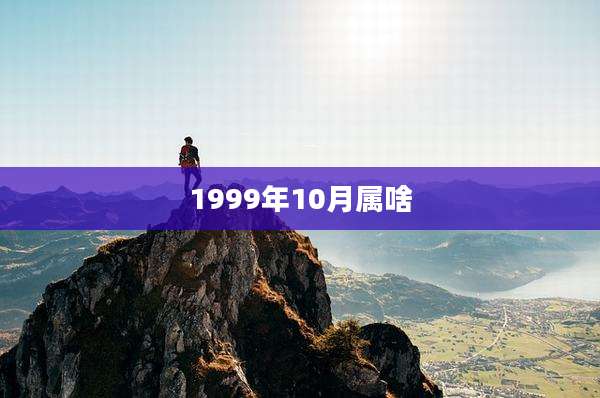1999年10月属啥
