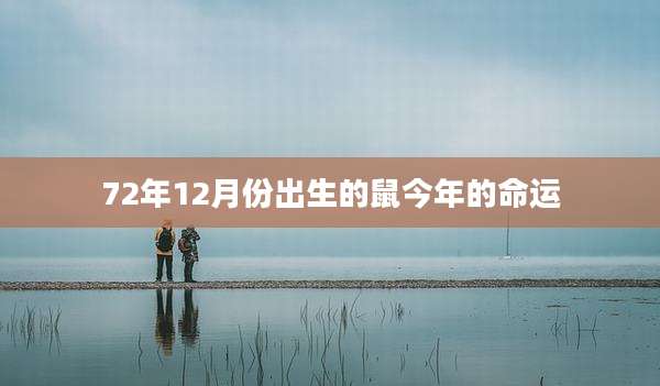 72年12月份出生的鼠今年的命运