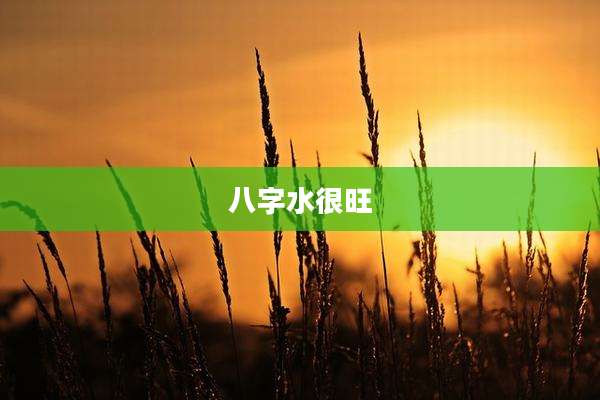 八字水很旺