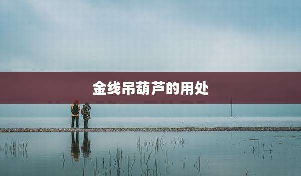 金线吊葫芦的用处