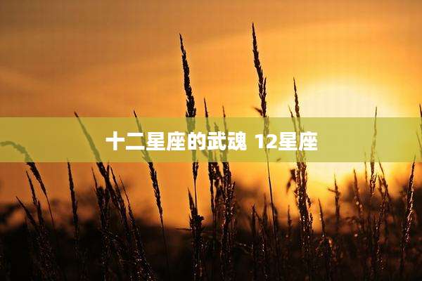十二星座的武魂 12星座