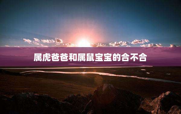 属虎爸爸和属鼠宝宝的合不合