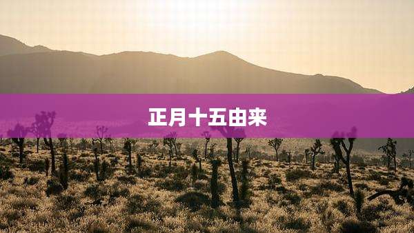 正月十五由来