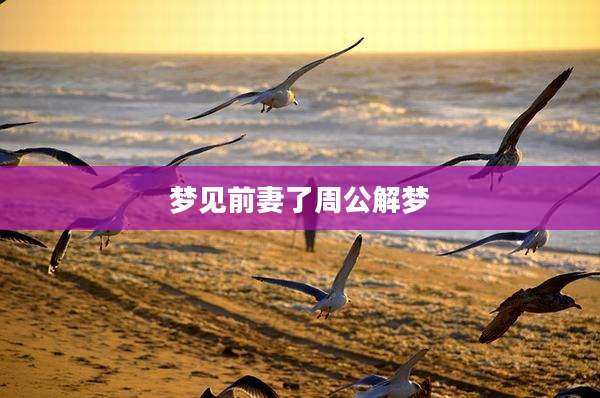 梦见前妻了周公解梦