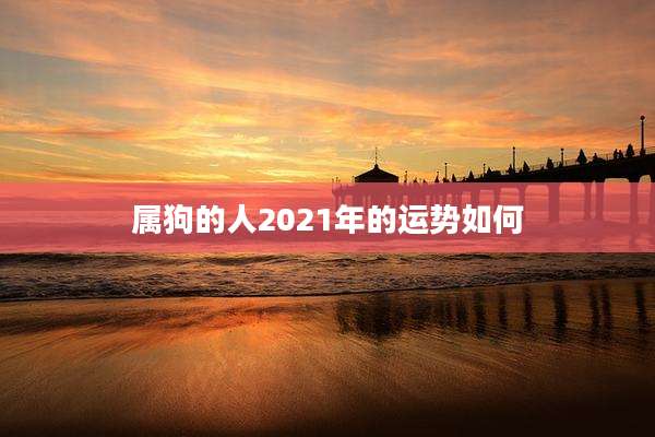 属狗的人2021年的运势如何