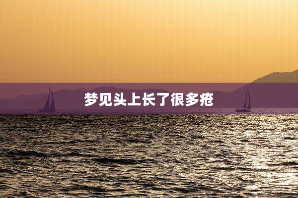 梦见头上长了很多疮