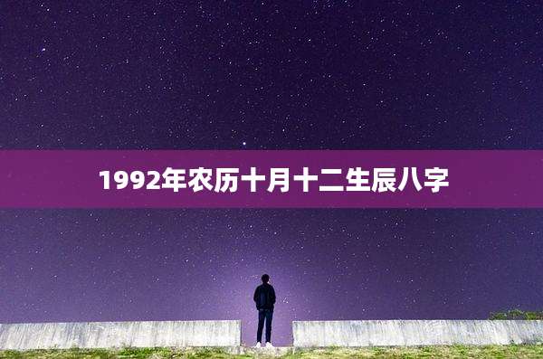 1992年农历十月十二生辰八字