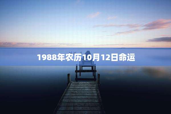 1988年农历10月12日命运