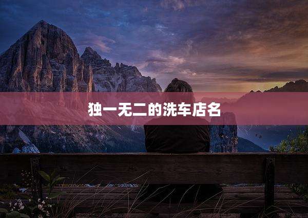 独一无二的洗车店名