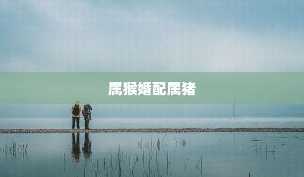 属猴婚配属猪