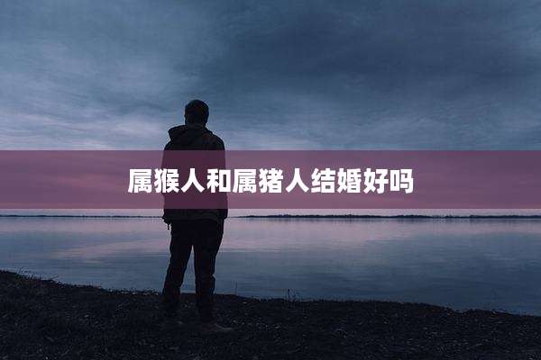 属猴人和属猪人结婚好吗