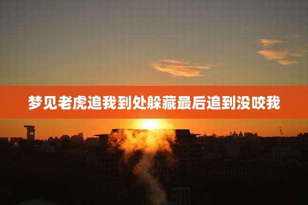 梦见老虎追我到处躲藏最后追到没咬我