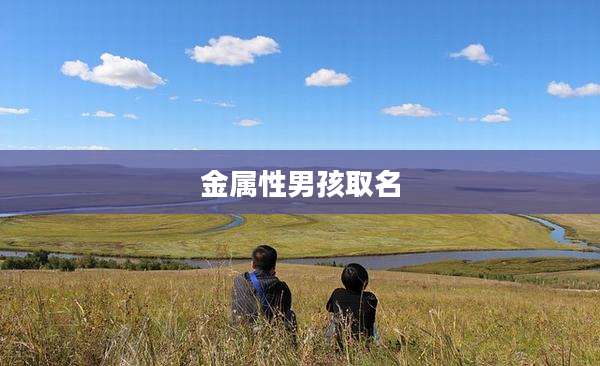 金属性男孩取名