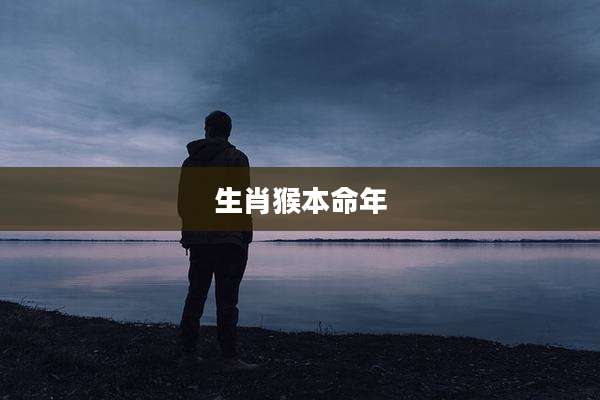 生肖猴本命年