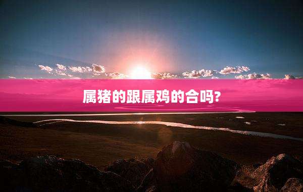 属猪的跟属鸡的合吗?