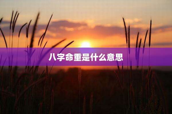 八字命重是什么意思