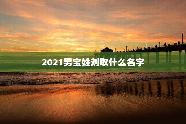 2021男宝姓刘取什么名字