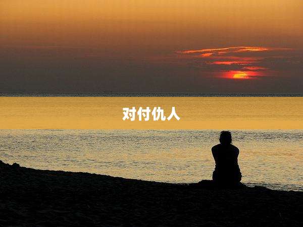 对付仇人