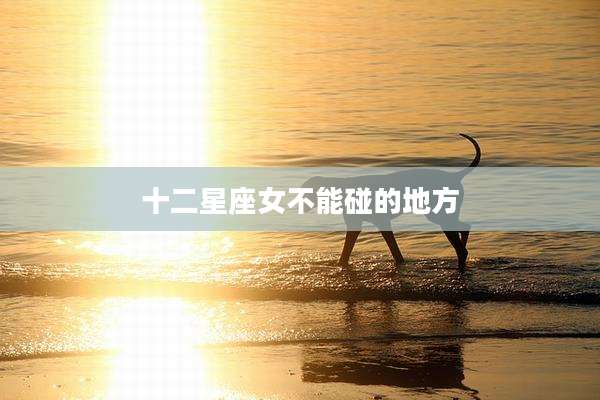 十二星座女不能碰的地方