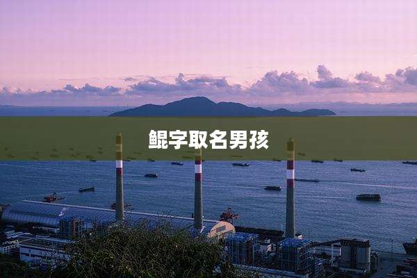 鲲字取名男孩