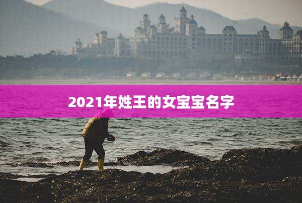 2021年姓王的女宝宝名字