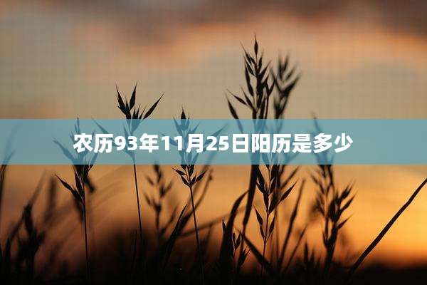 农历93年11月25日阳历是多少