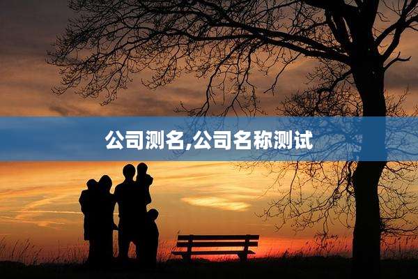 公司测名,公司名称测试
