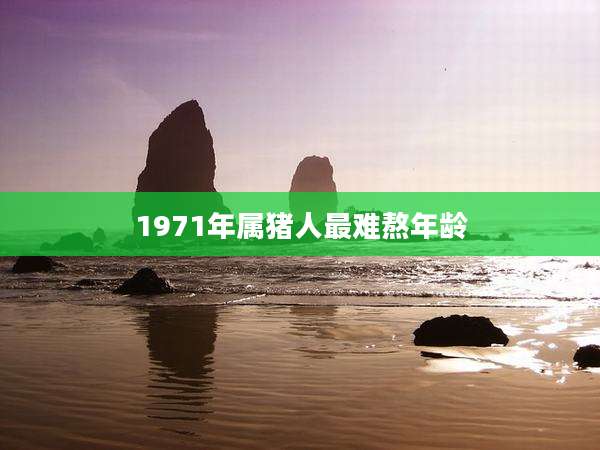 1971年属猪人最难熬年龄