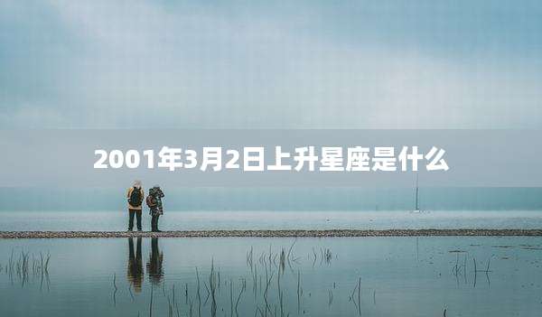 2001年3月2日上升星座是什么